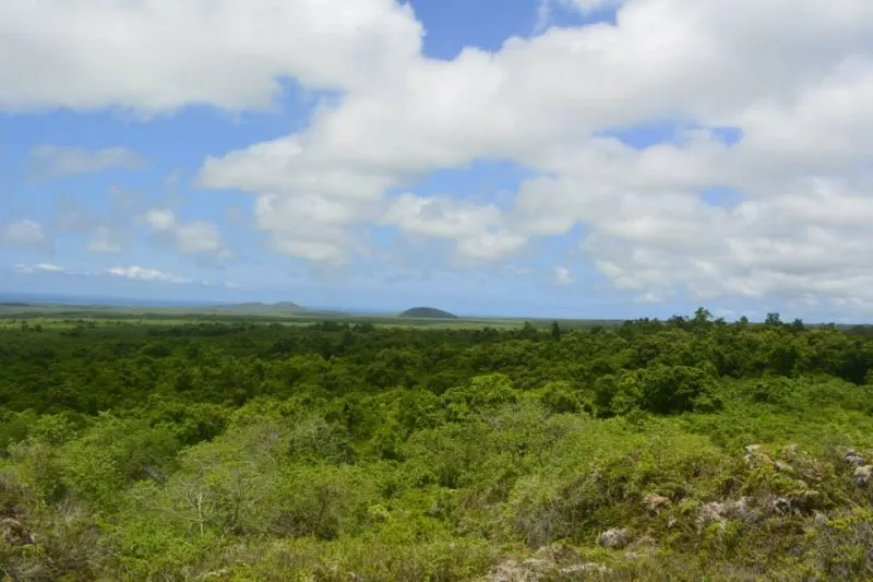 Mirador El Mango