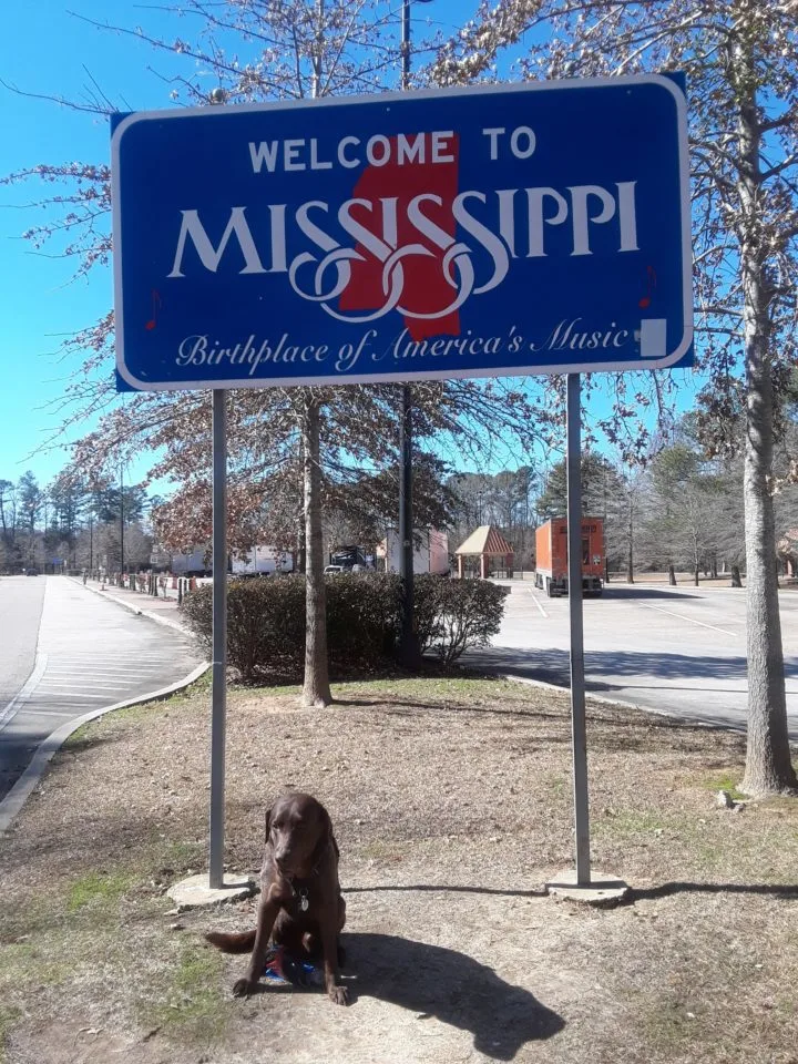 Traveling with a dog Mississippi