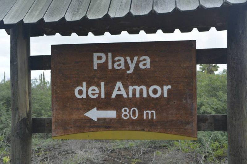 Playa Amor Isabella