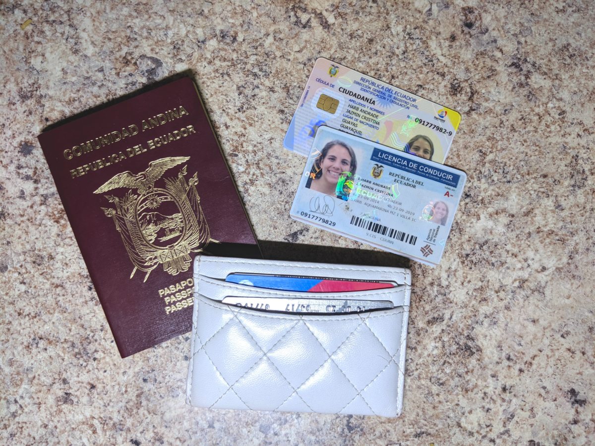 Passport and Travel Wallet