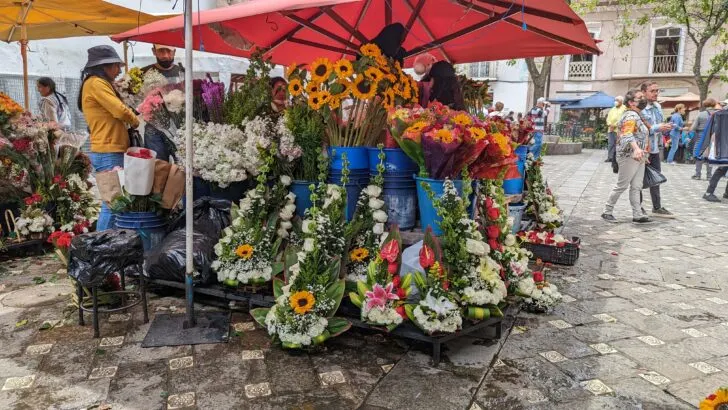 Plaza de Las Flores