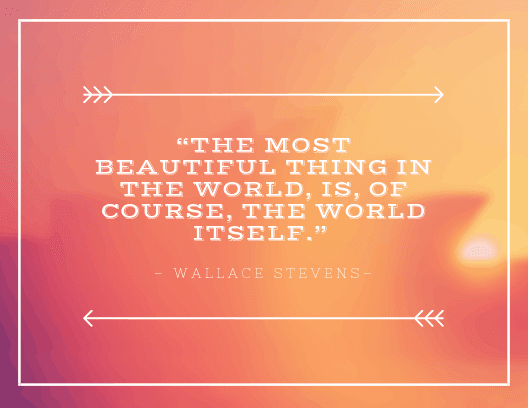 “The most beautiful thing in the world, is, of course, the world itself.”