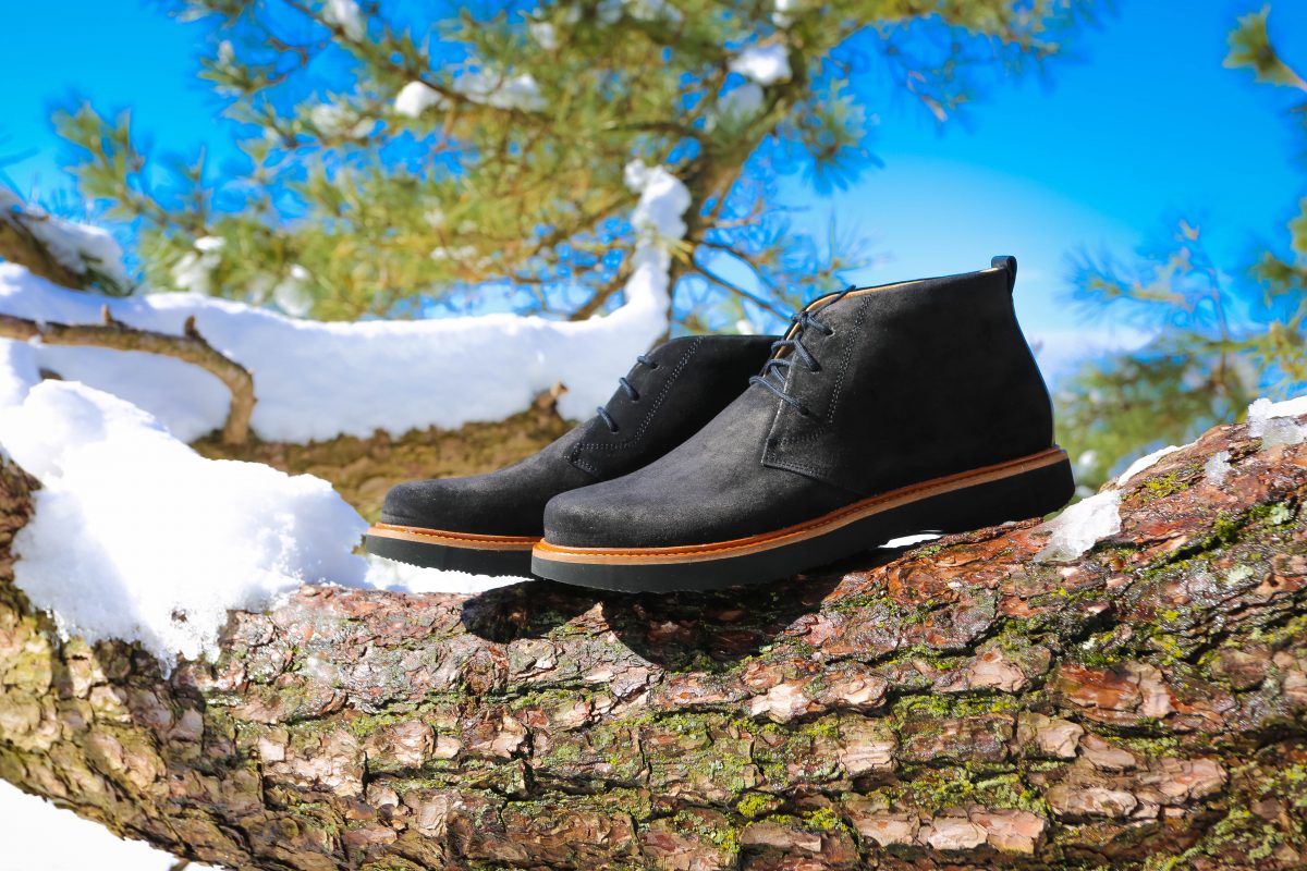 Black shoes on tree and snow