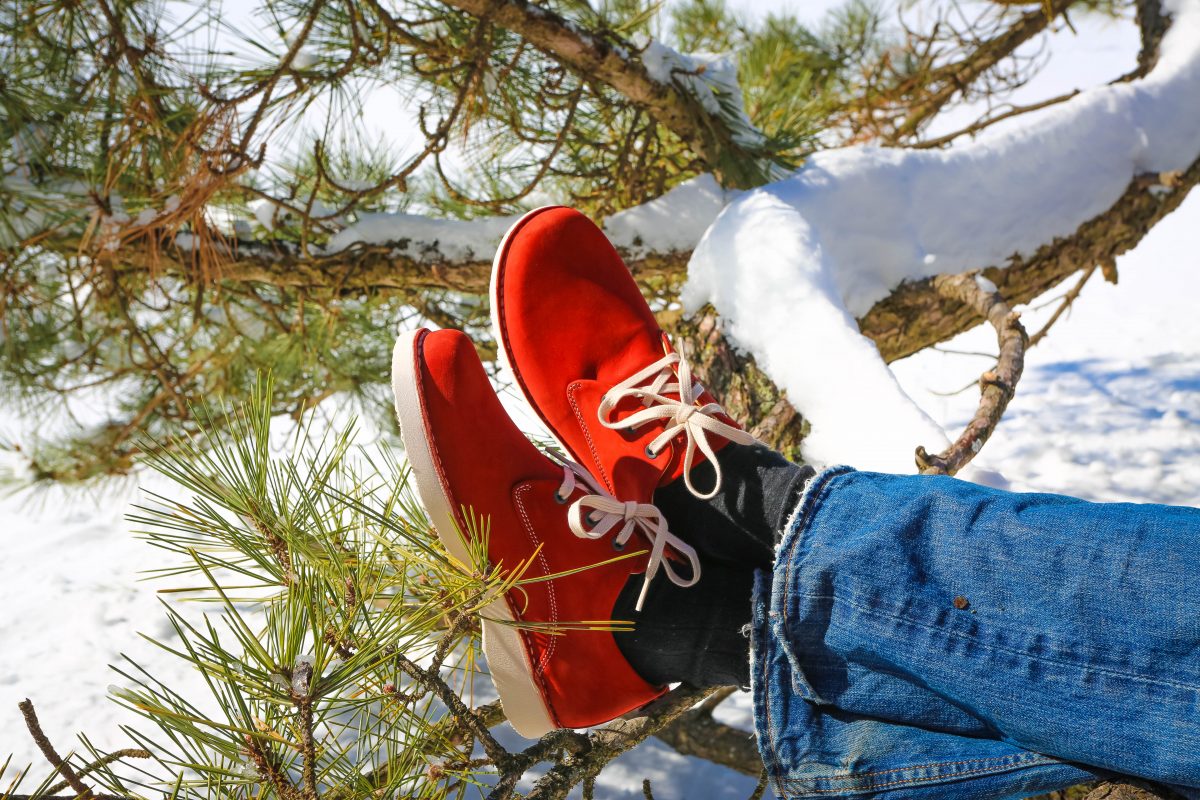 Winter shoes on tree branch