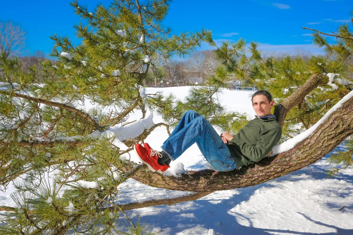 Sitting on a tree enjoying winter