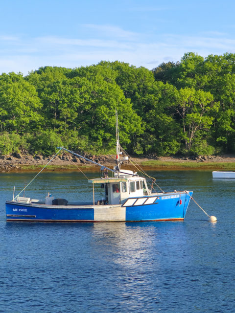 The Maine Beaches