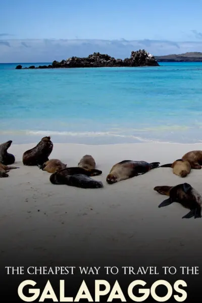 Galapagos On a Budget: The Ultimate 8 Days Galapagos Travel Guide. The best itinerary of 8 days to explore Galapagos on your own