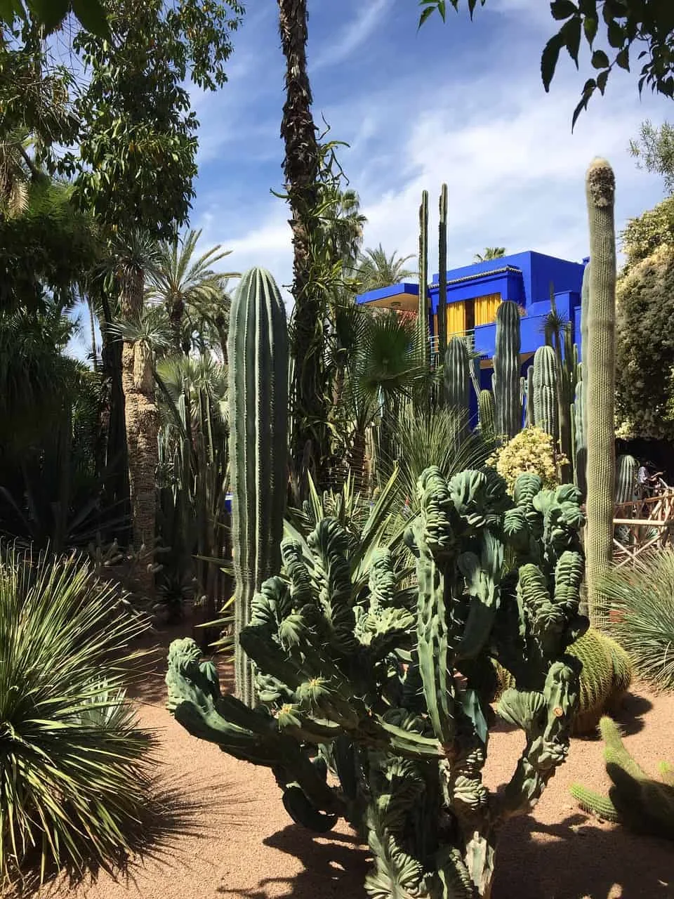 Take photos at the Majorelle Gardens