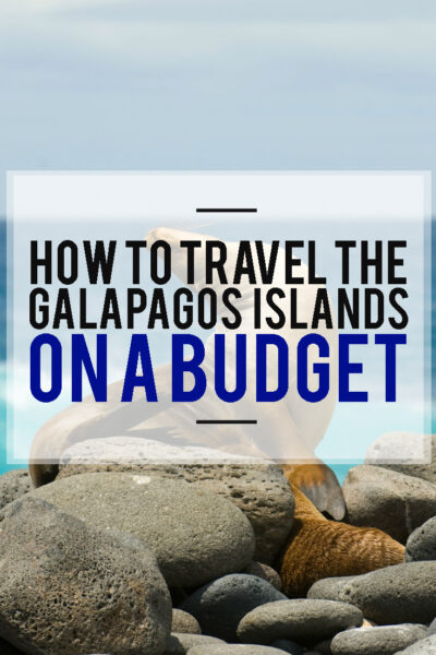 Galapagos On a Budget: The Ultimate 8 Days Galapagos Travel Guide. The best itinerary of 8 days to explore Galapagos on your own