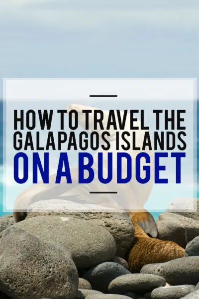 Galapagos On a Budget: The Ultimate 8 Days Galapagos Travel Guide. The best itinerary of 8 days to explore Galapagos on your own