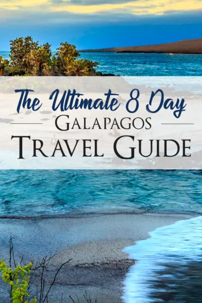 Galapagos On a Budget: The Ultimate 8 Days Galapagos Travel Guide. The best itinerary of 8 days to explore Galapagos on your own